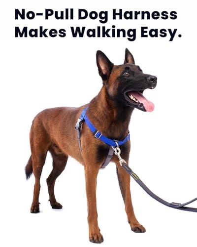 Freedom No Pull Harness for Dog with Front Clip, Designed for Large Black