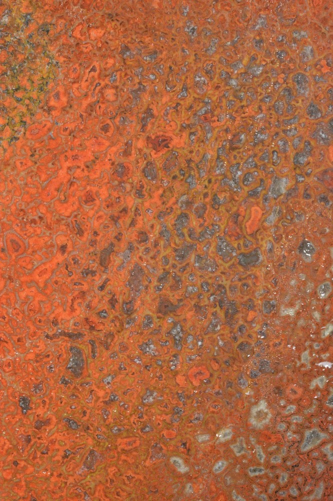 Orange Agatized Dinosaur Bone, New Mexico, 100 grams