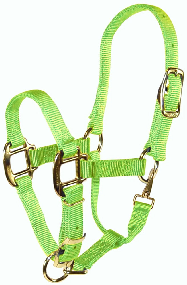 Hamilton Quality 3/4" Nylon Adjustable Halter With Snap
