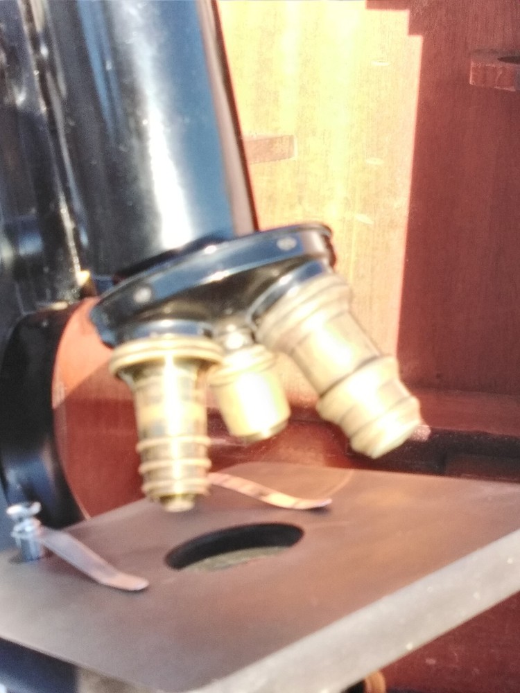 MICROSCOPE WATSON & SONS SERVICE MICROSCOPE AND CASE AND GLASS SLIDES