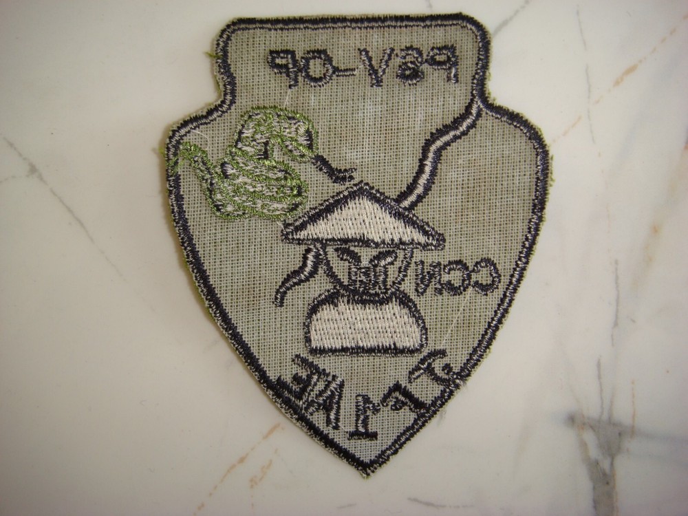 US TASK FORCE 1 AE (ADVISORY ELEMENT )CCN PSV-OP, VIETNAM WAR SUBDUED PATCH