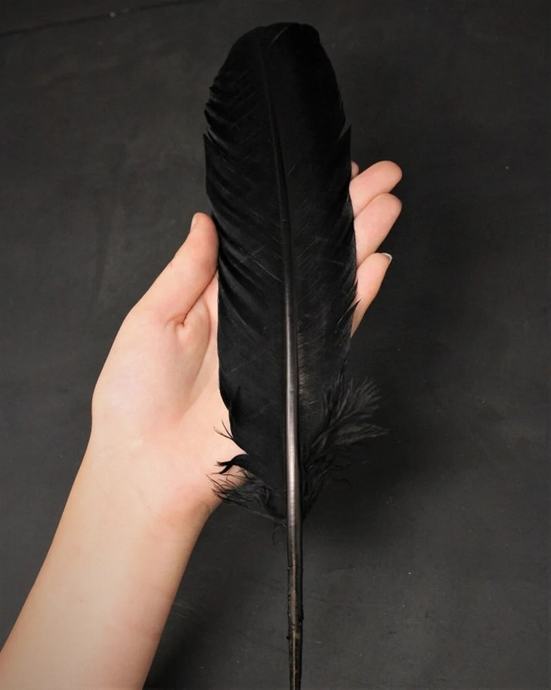 Black Turkey Feather for Smudging, Fanning, etc