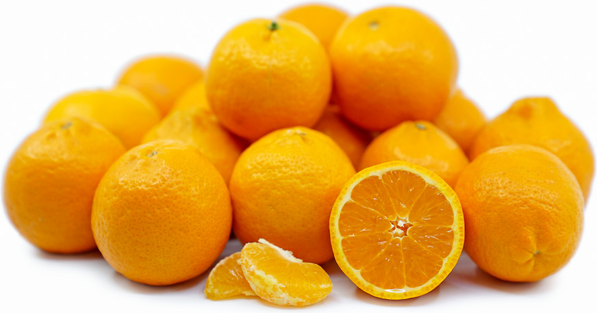 Fresh Ojai Pixie Tangerines by RawJoy