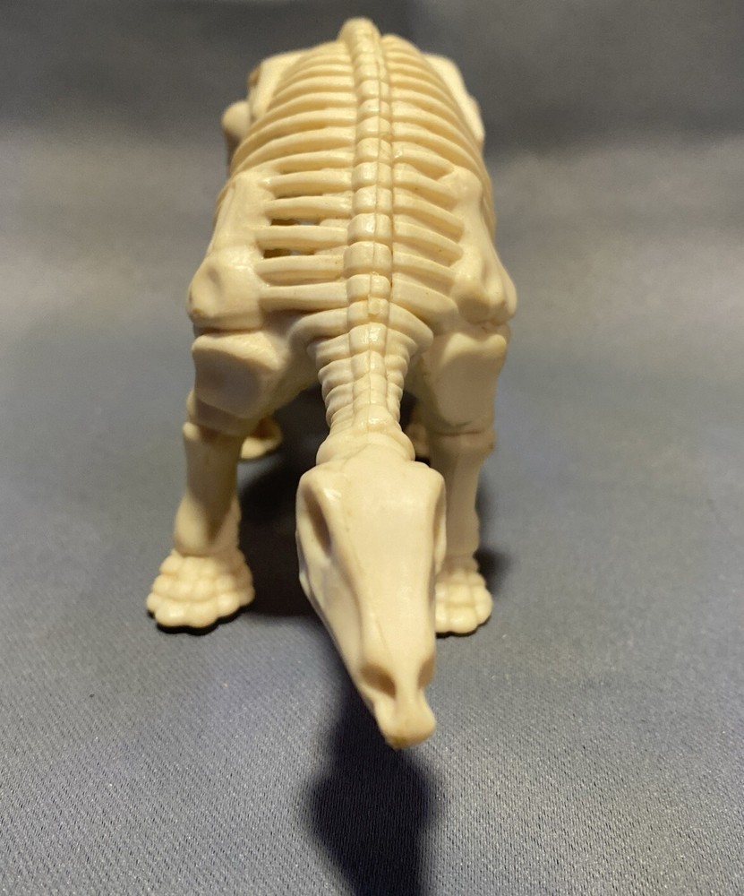 Dinosaur Skeleton Figures Prehistoric Animal 6” Plastic
