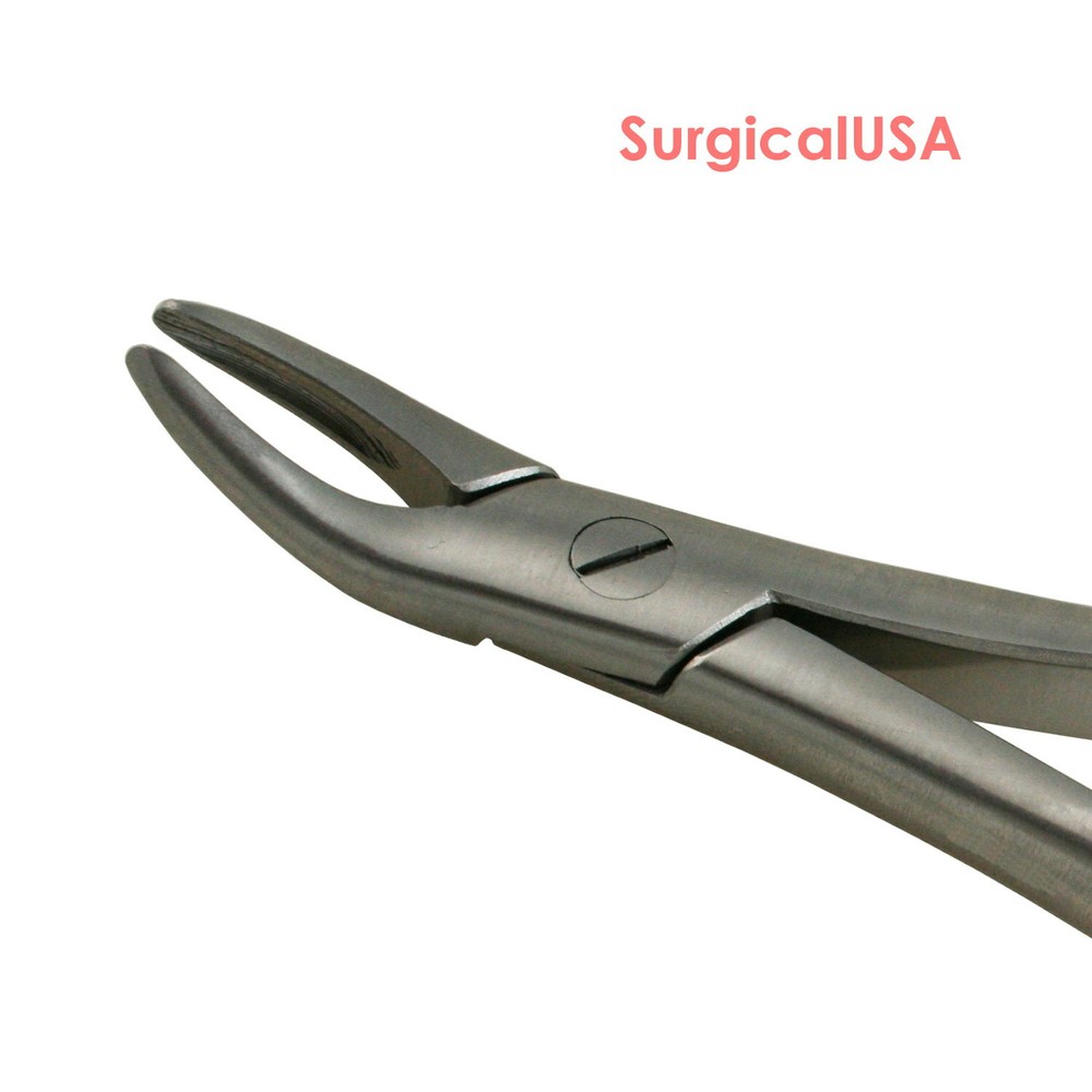 Extracting Forceps Witzel 116 Roots Dental Extraction Surgical Instruments