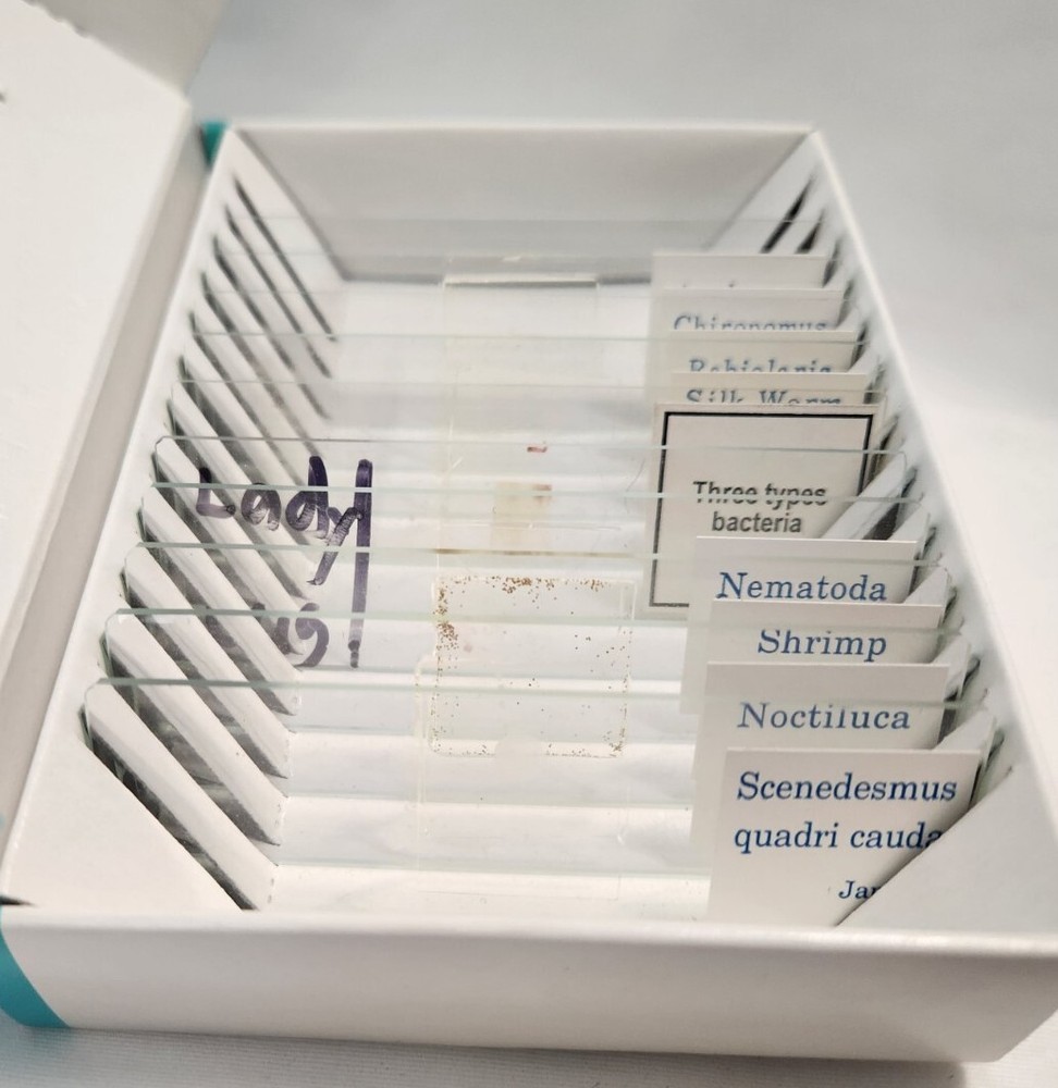 Microscope Glass Slides Edu Science Biology