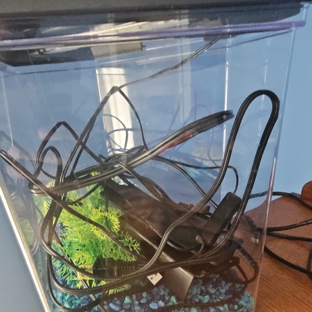 Rectangular Plastic Aquarium Fish Tank with Lid, Electrical, Plant, Gravel