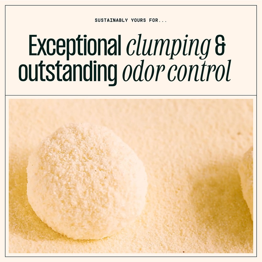 Natural Cat Litter, MixedGrain Formula, Exceptional Clumping & Odor Control, ...