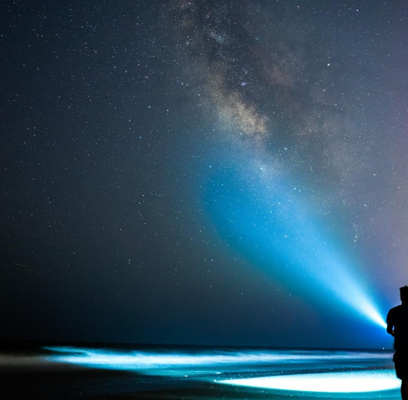 3C Cell LED Flash Light, Blue