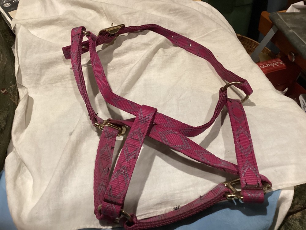 Nice Stockmen's Nylon Horse Halter
