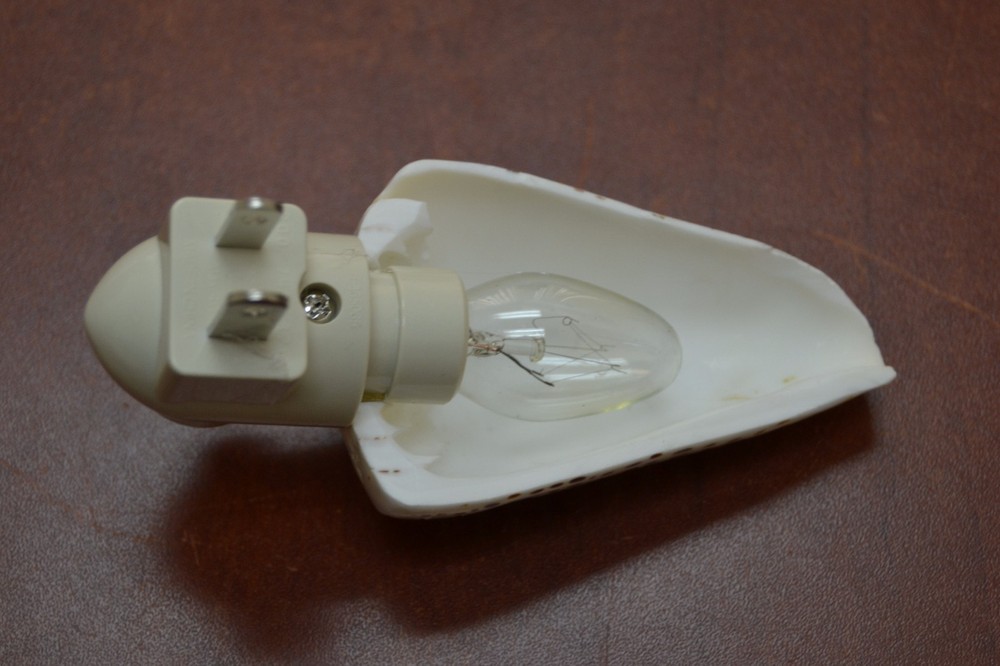 STRIPE LEOPARD CONE SEA SHELL NIGHT LIGHT BATHROOM KITCHEN #7251