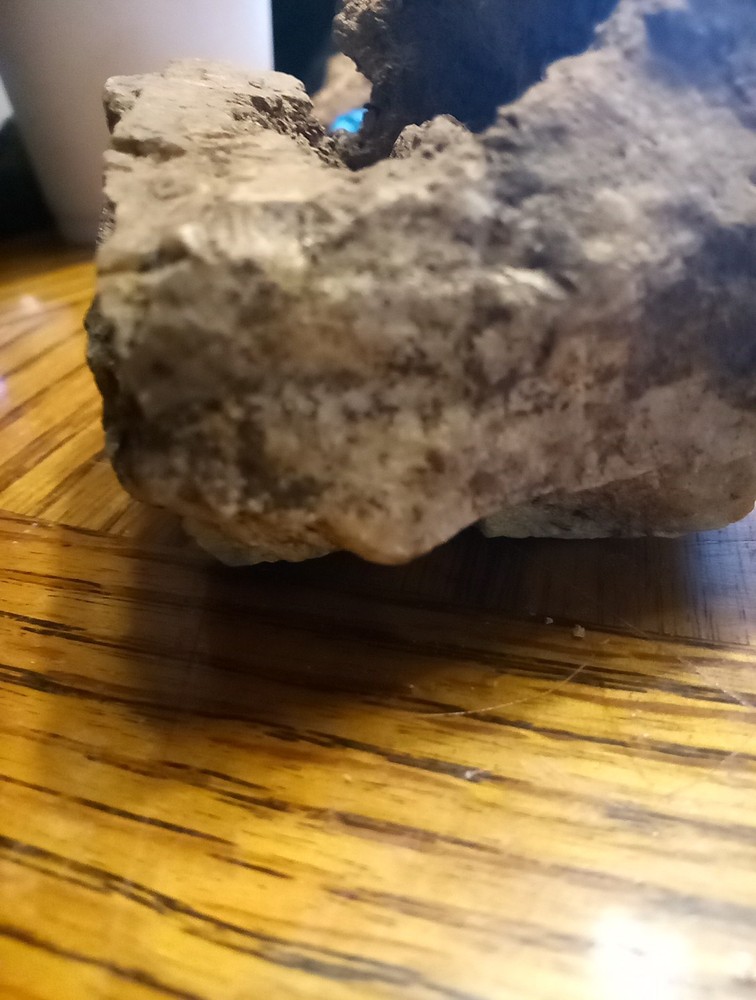 Fossils