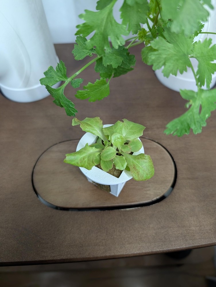 Grow Cubes for Hydroponic System Compatible with Gardyn 10 Cubes