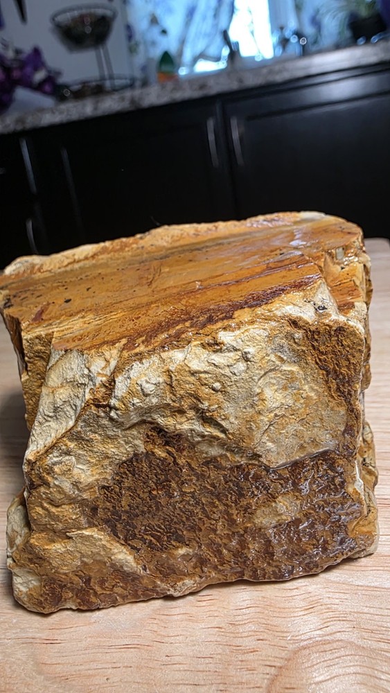 owyhee picture jasper