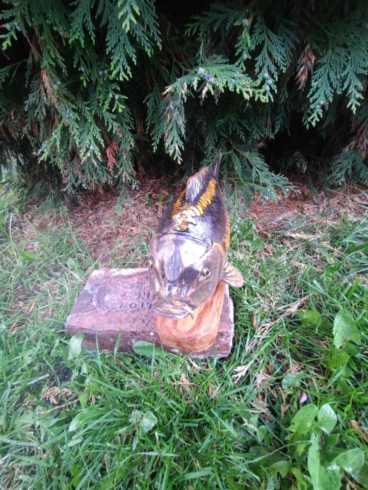 Carp Fishing, linear Carp Display, statue