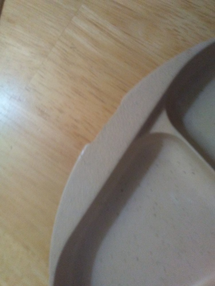 Littonware Microwave Divided Plates with Lids