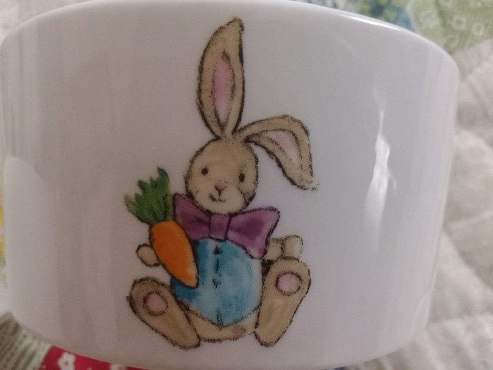 2 Matching Bunny Rabbit with Carrot Easter Spring Ramekins by Sheffield Home