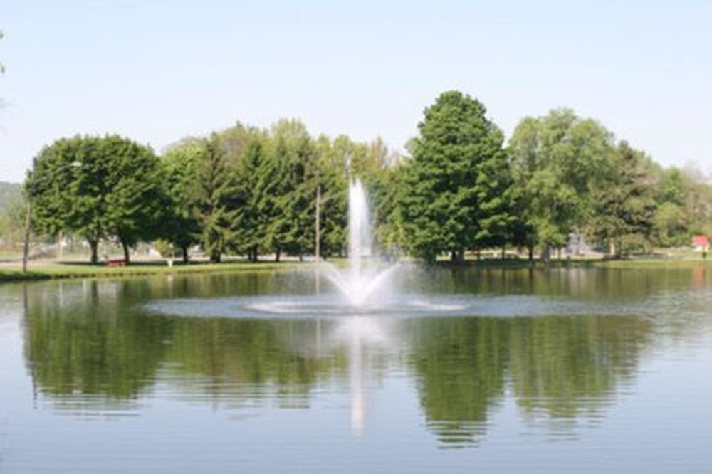 1hp CasCade 5000 Floating Pond Fountain Aerator:  **CUSTOM OPTIONED CODE ORDERS