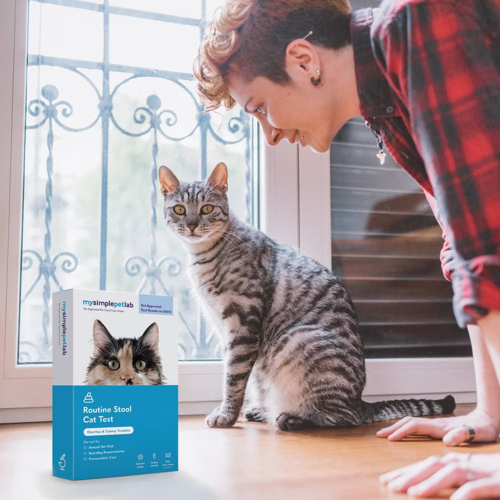 MySimplePetLab Cat Routine Stool Test Kit