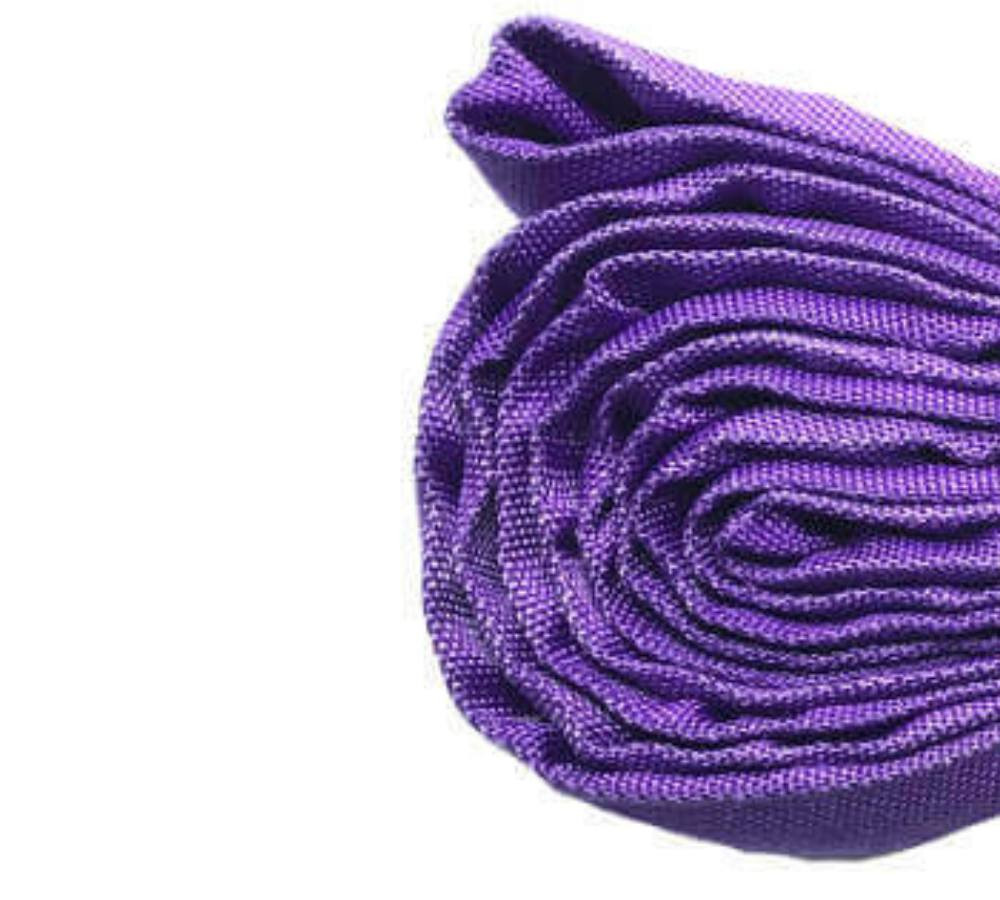 2-PACK: Endless Round Lifting Sling Polyester Purple 3 Foot