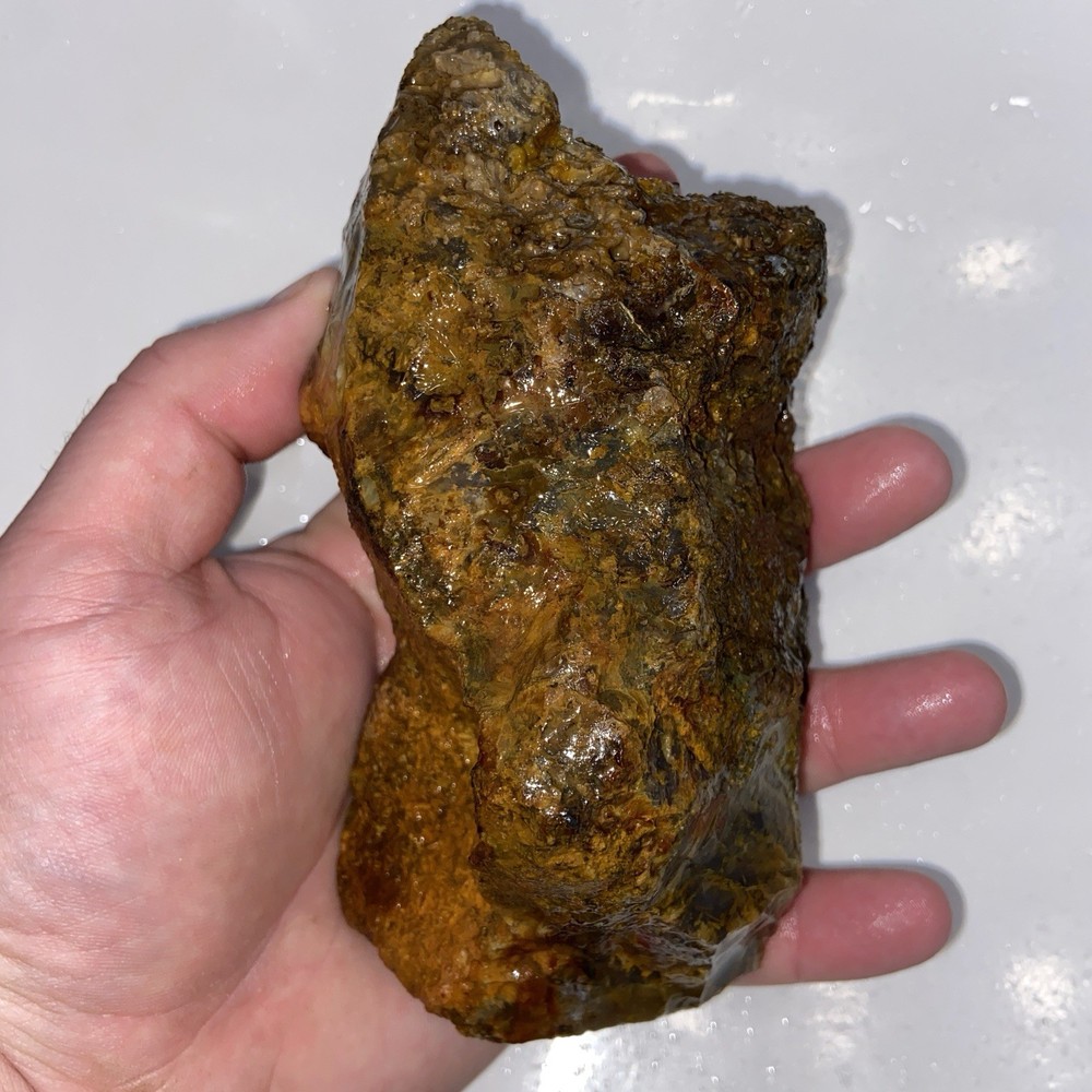 Gorgeous Icy Moss Agate Rough 1 Pound 12.25 Oz