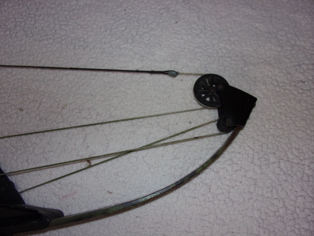 Bear Whitetail Hunter Compound Bow