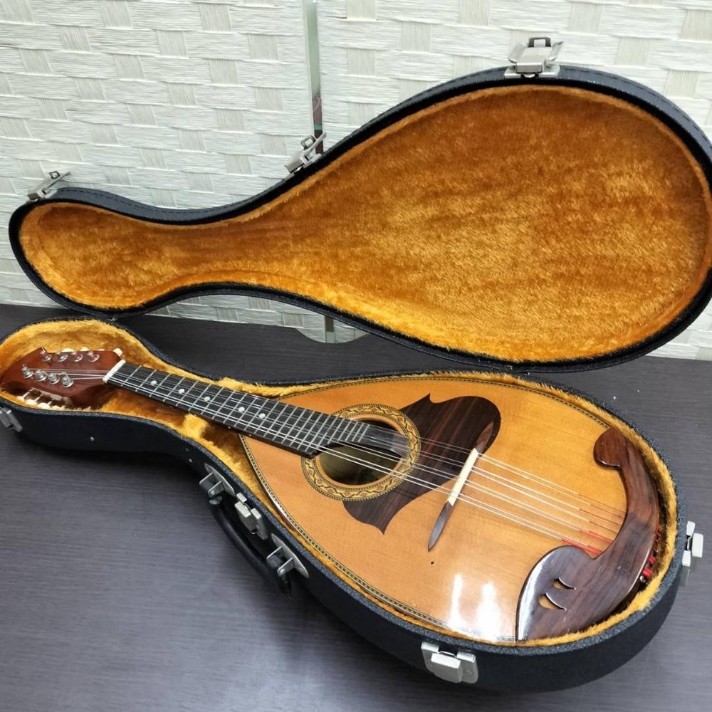 Mandolin SUZUKI M-215 with hard case