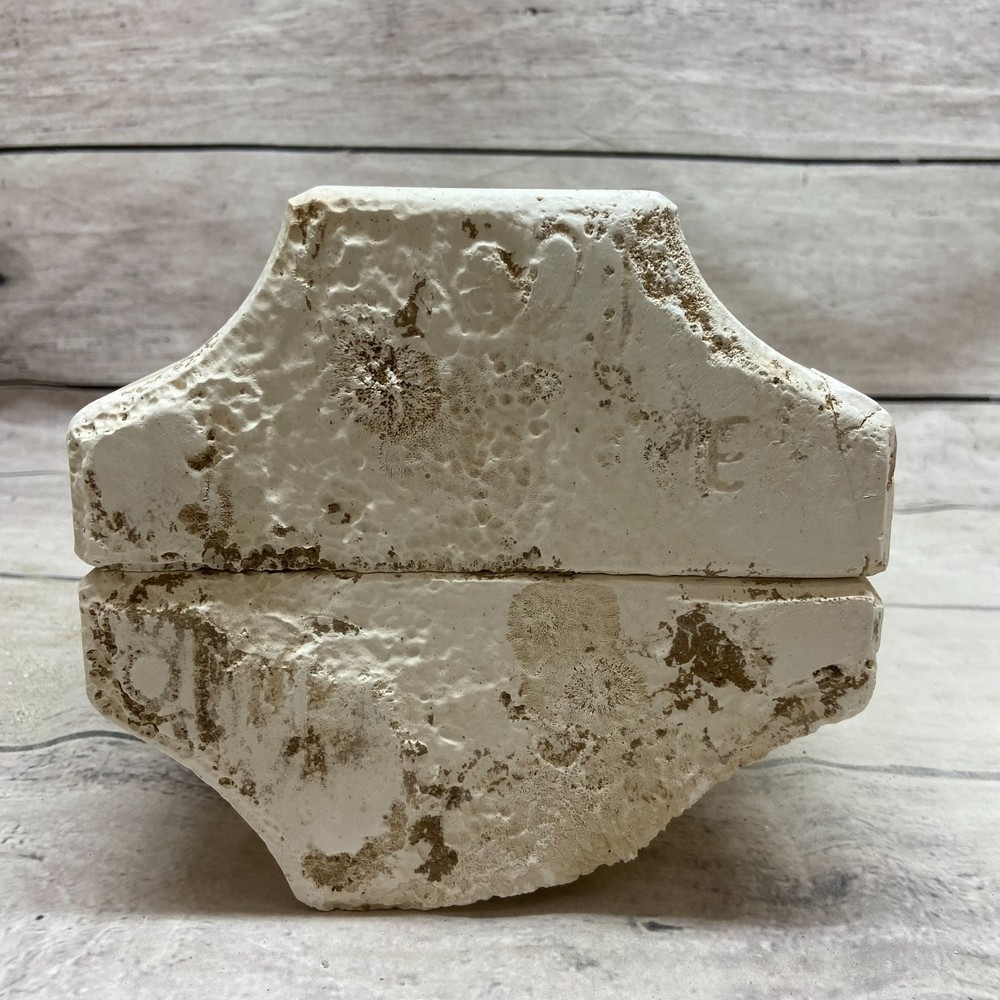 Ceramic Slip Casting Mold Dino & Pebbles Cup