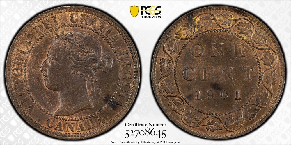 1901 Canada large cent PCGS MS63BN