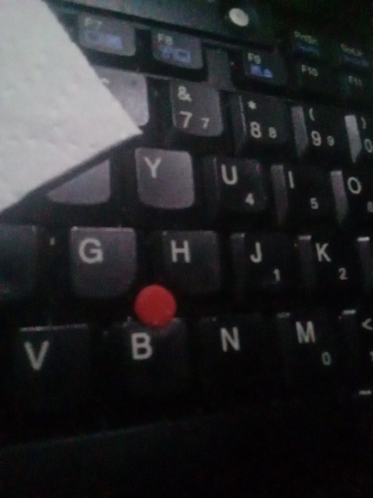 IBM ThinkPad Red Mouse Control Button