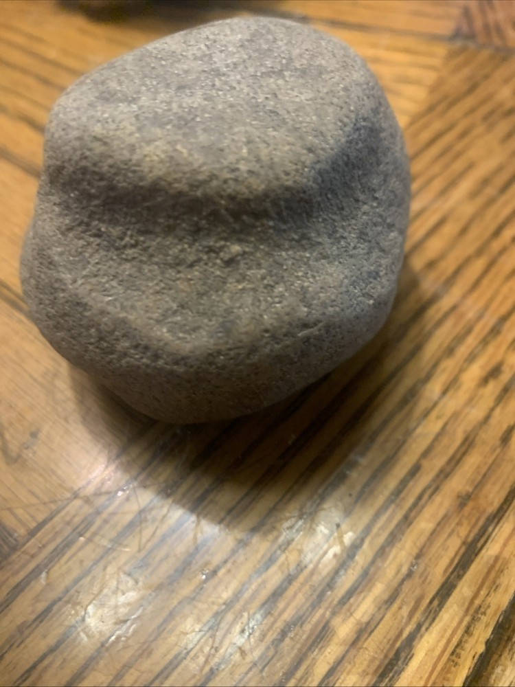 Fossils