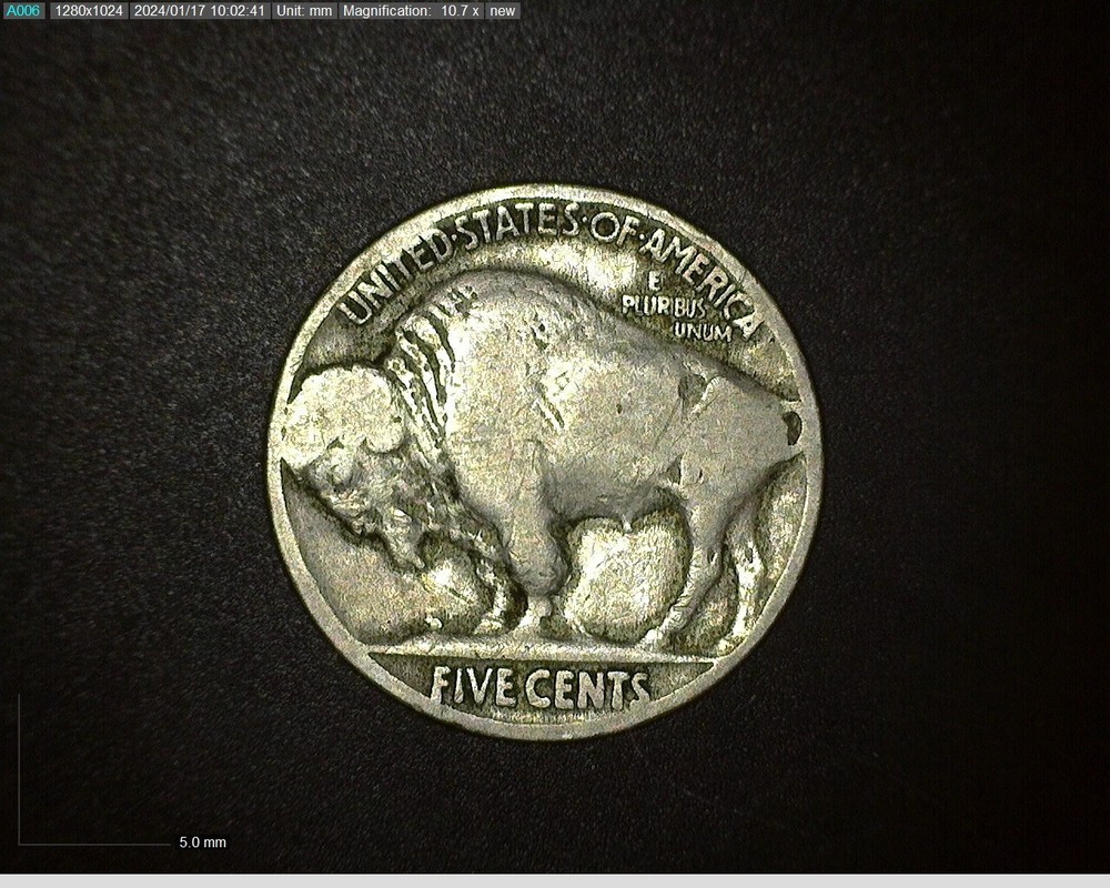 1915 -- Buffalo Nickel