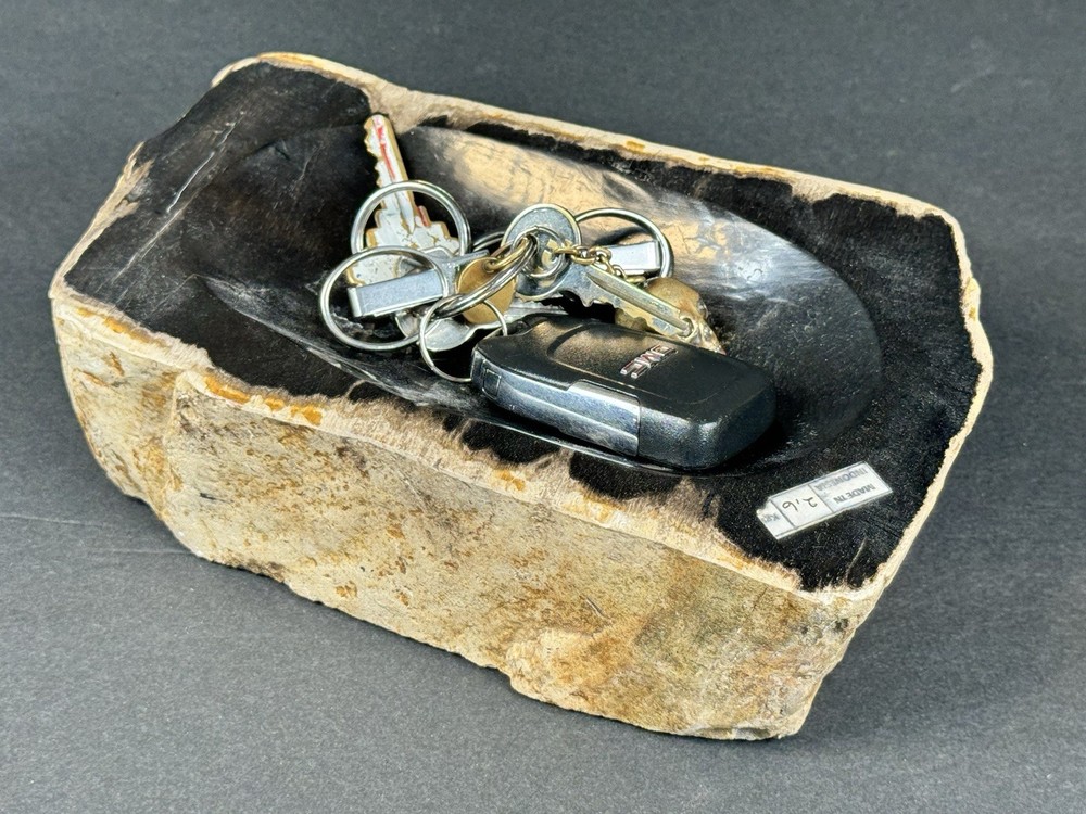 PETRIFIED WOOD Trinket Dish