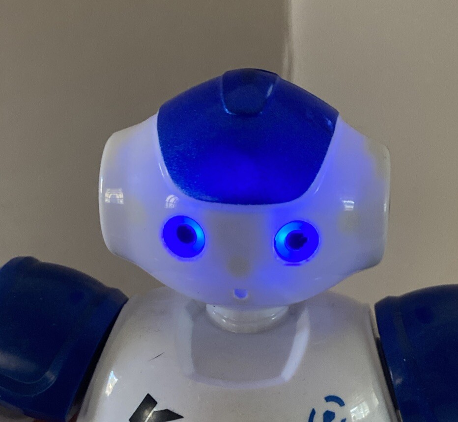 Cady Wida Robot Working No Remote Or Charger