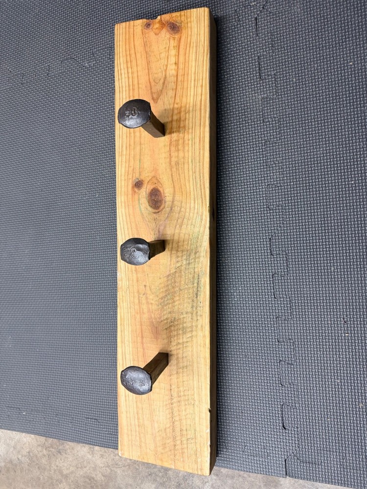 railroad spike coat rack