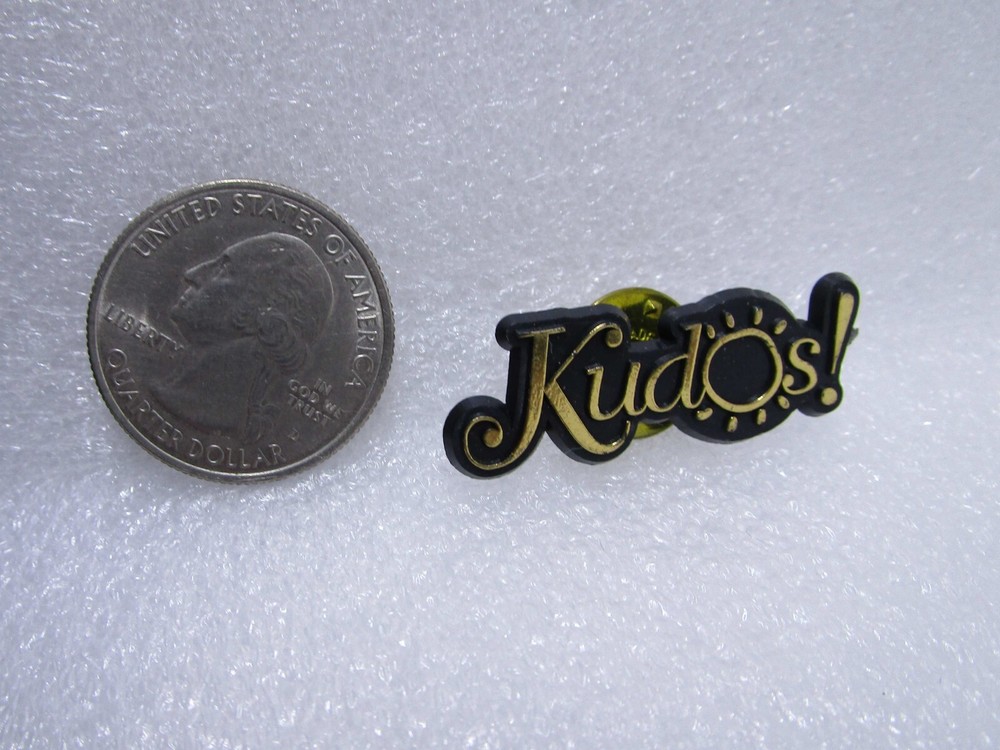 Kudos! Plastic Pin