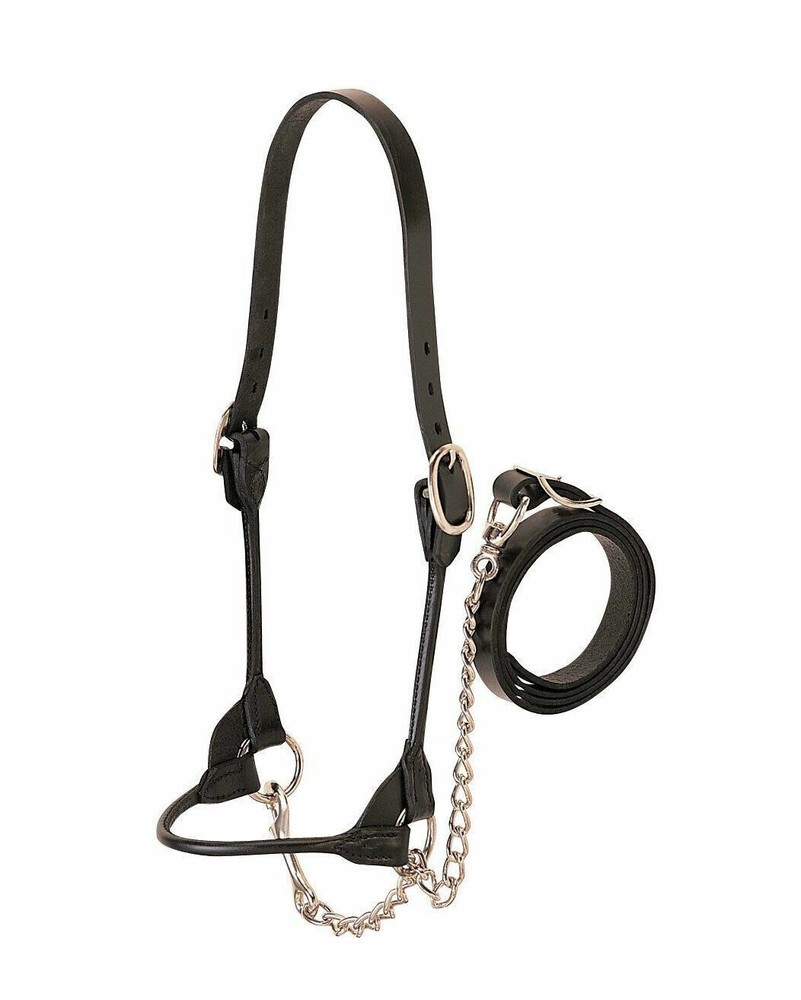 Western Leather Halter with Silver Fitting with Lead Chain All Size Available.