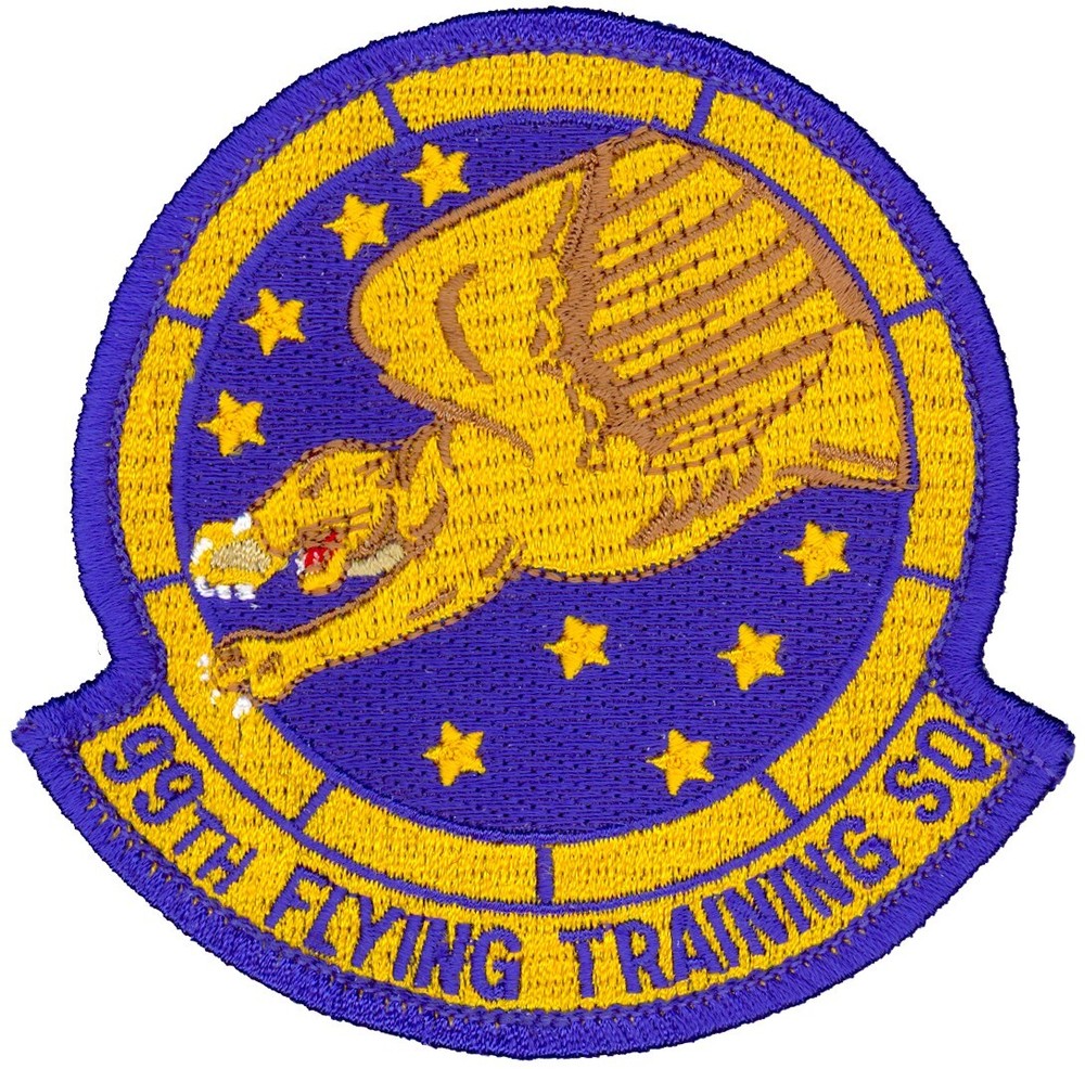 USAF 99th FLYING TRAINING SQUADRON PATCH