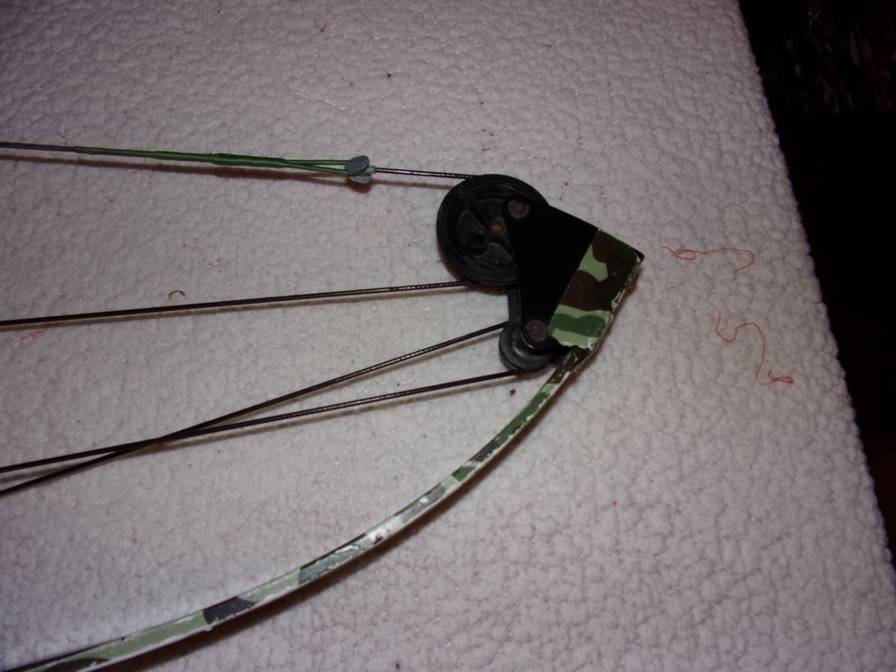 Bear Whitetail Hunter Compound Bow