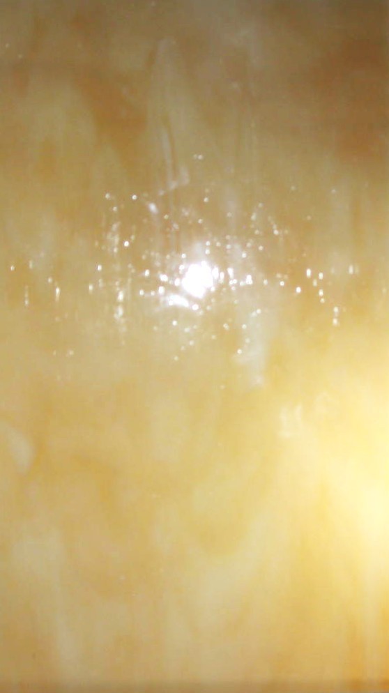 STAINED GLASS PACK: 4 – 7” X 12” SHEETS PAC R 21