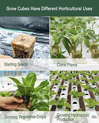 1" Rockwool Grow Cubes Starter Plugs for Plant Growing Rooting, 4 Sheets