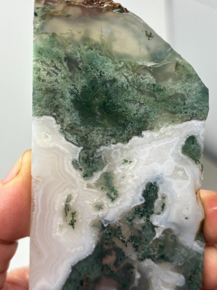 Semi-translucent Moss Agate Slab Cabbing Lapidary Carving Combo Ship Avail