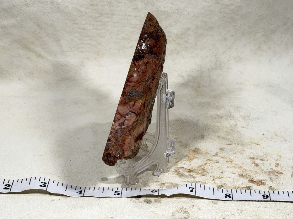 Cold Mountain Jasper Heel, Lot #43