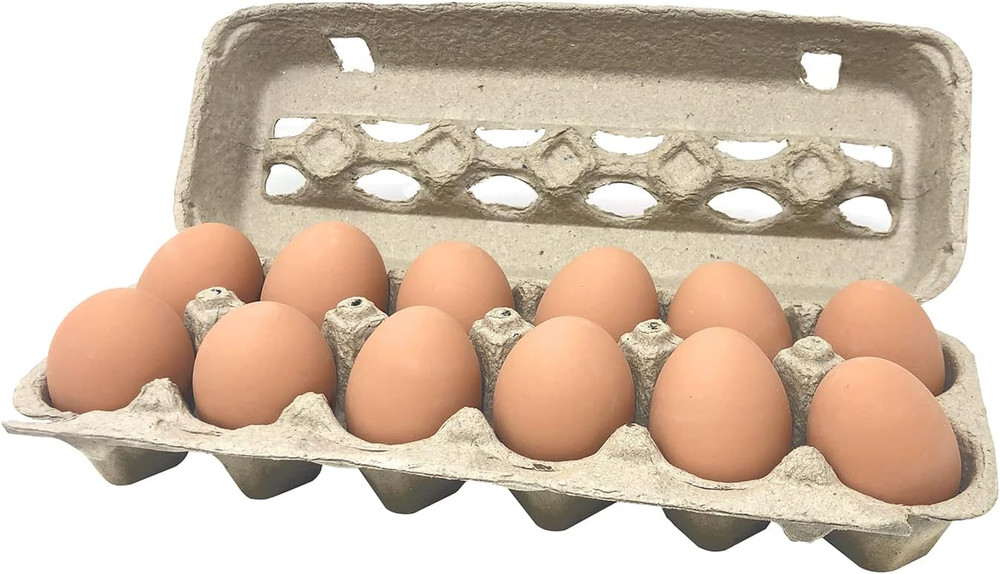 Paper Pulp Egg Cartons - 12 Pack Grey