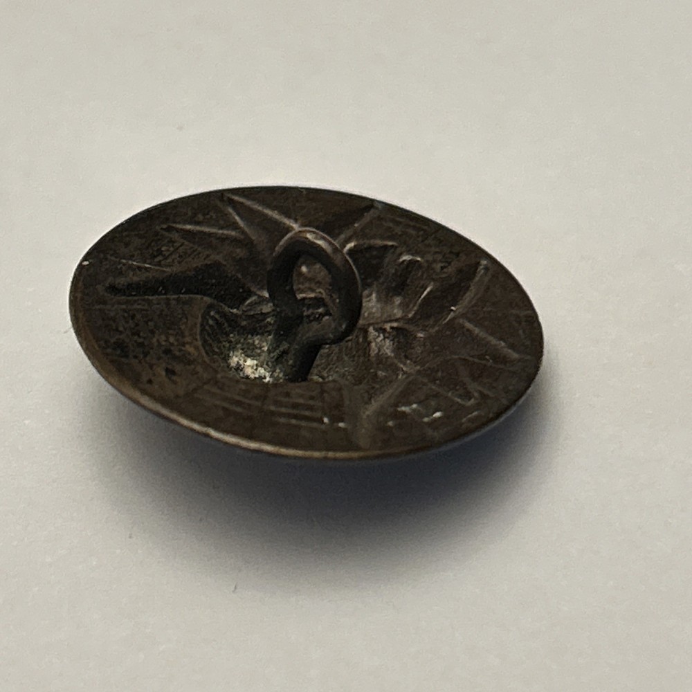 Vintage large 1920-30's brass spider on Web button