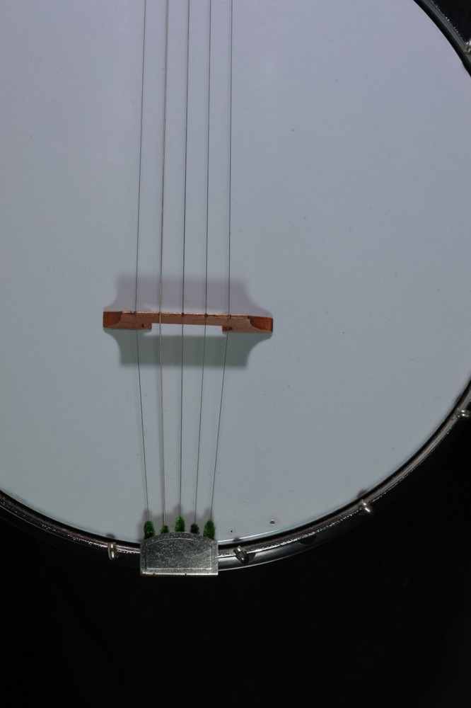 Harmony 5 String Banjo with carrying case