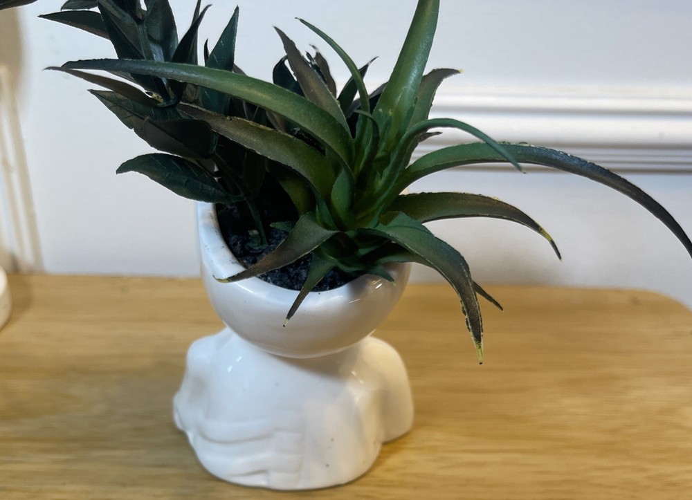 Skull Theme Planter With Artificial Succulents House Decoration Pre-Owned