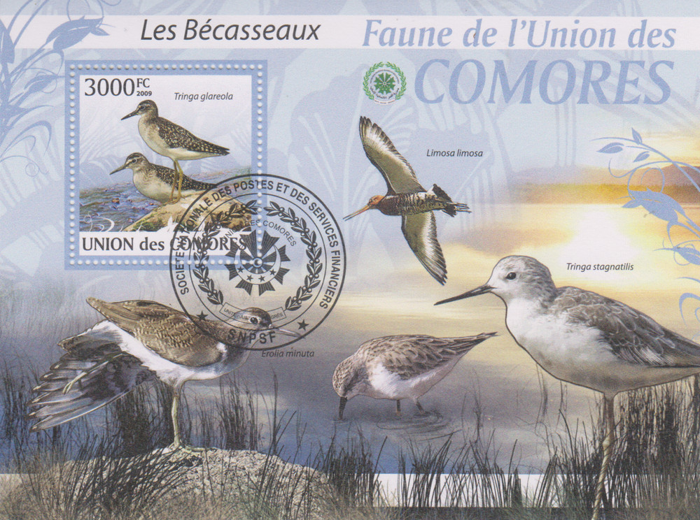 Birds Comoros Stamped 4080
