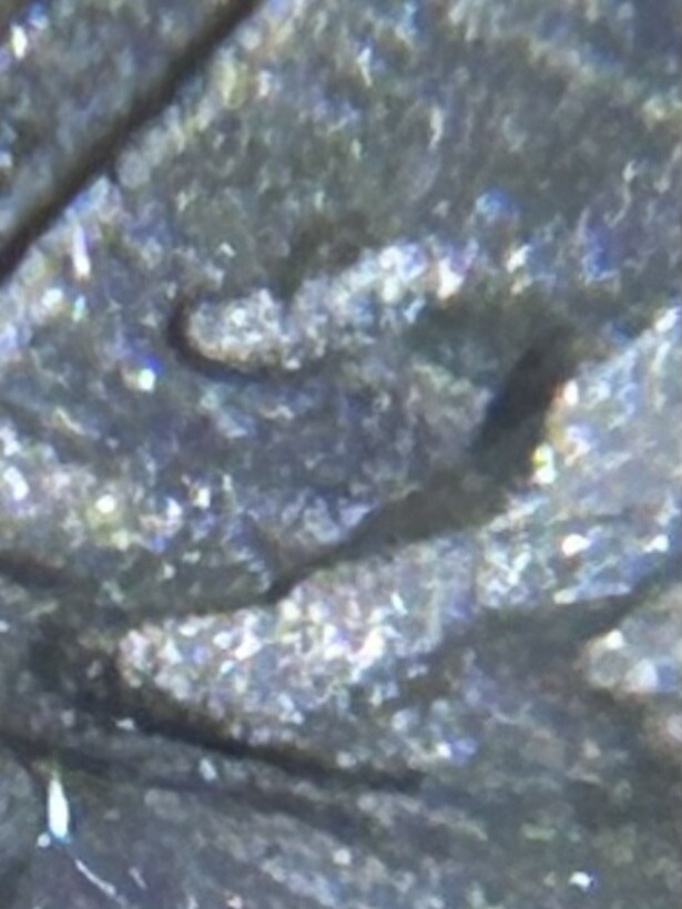 2009 lincoln penny formative years Double Thumb