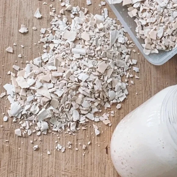 Sourdough Starter Dehydrated - San Francisco - 15 Gram Bag